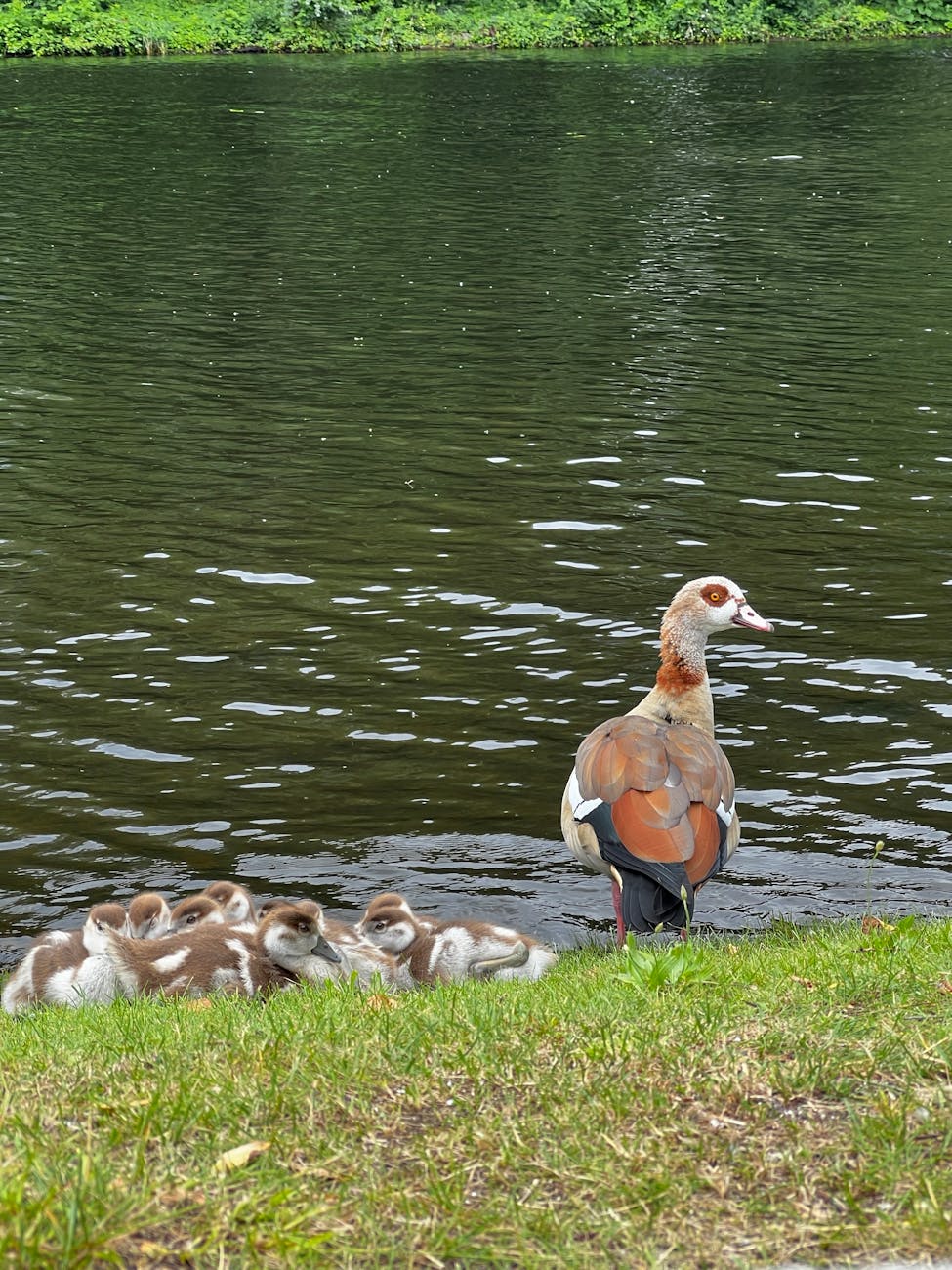 A Humble Request to Follow My&nbsp;Publications