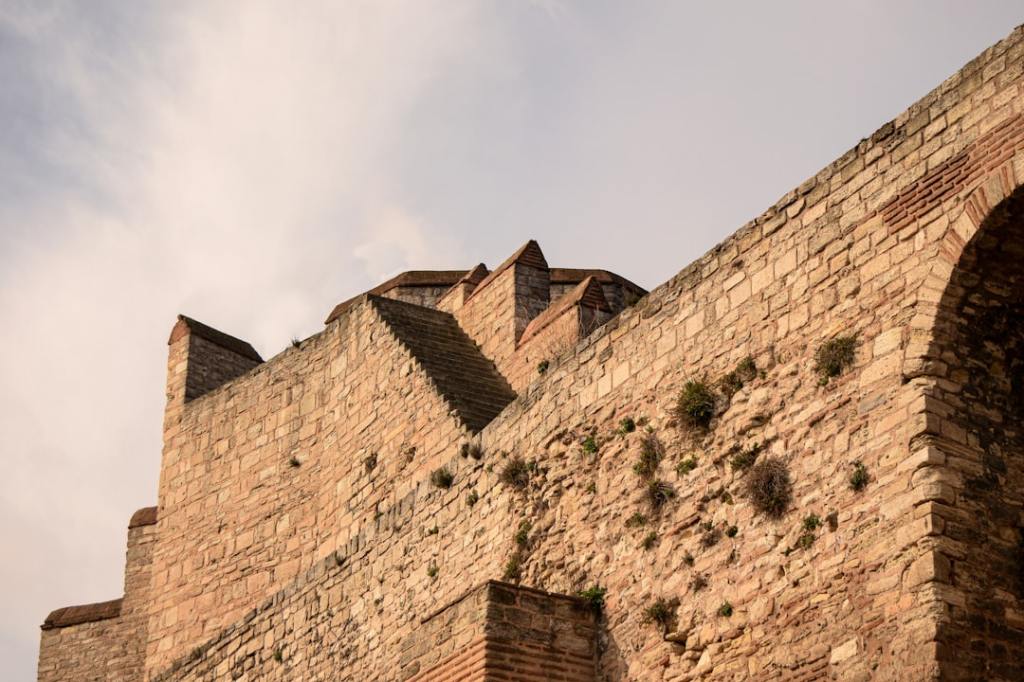 Character Sketch: Shahzada Arslan – Uncrowned&nbsp;Lion