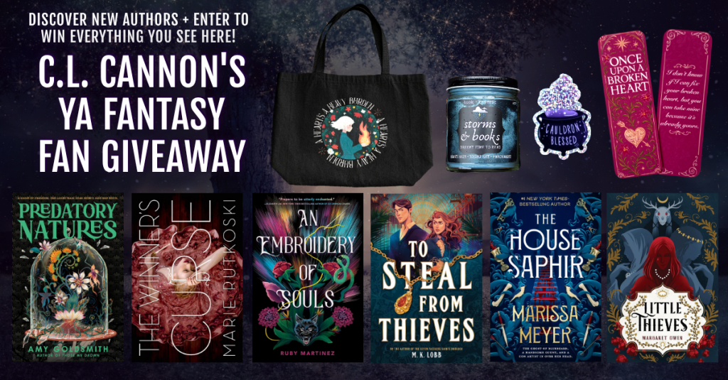YA Fantasy Reader&nbsp;Giveaway