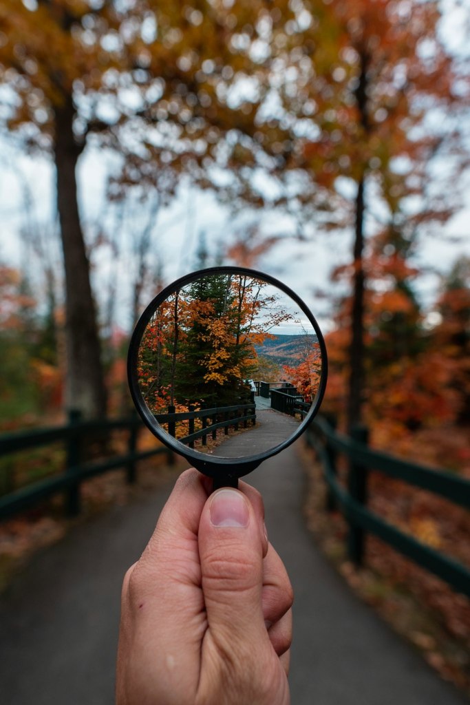 A magnifying glass held up to bring part of a forest path into focus.