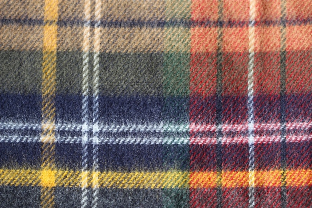 A plaid blanket.