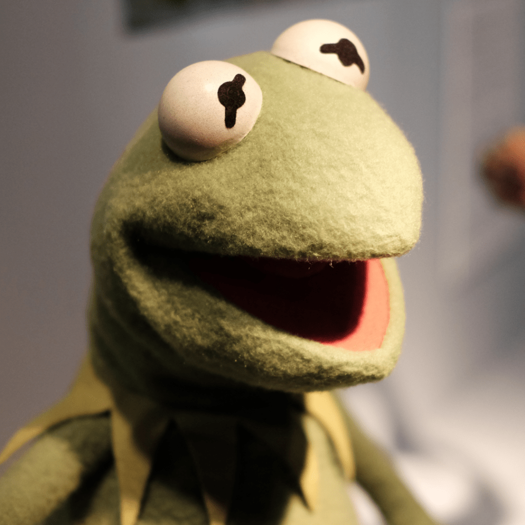 A Kermit the Frog puppet.
