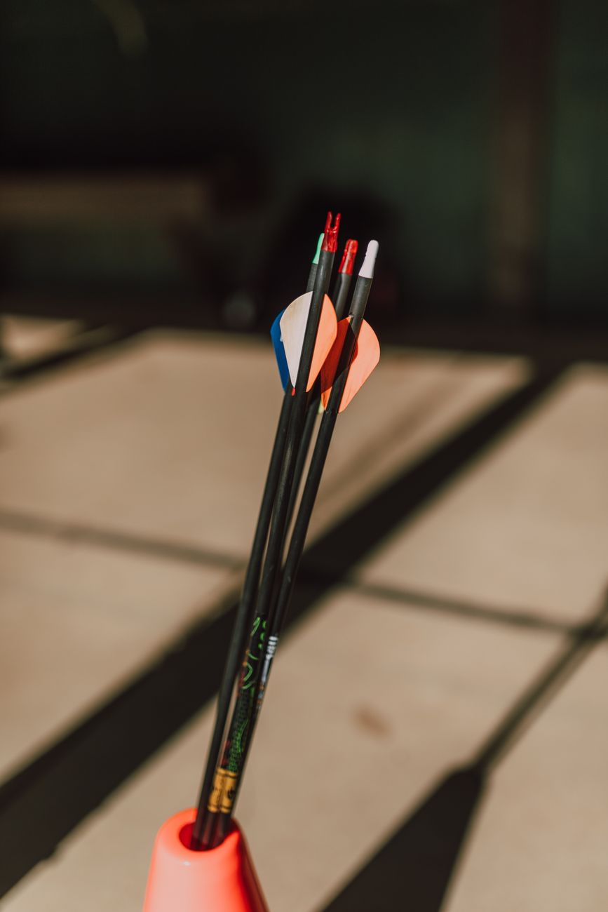 The shaft of several arrows.