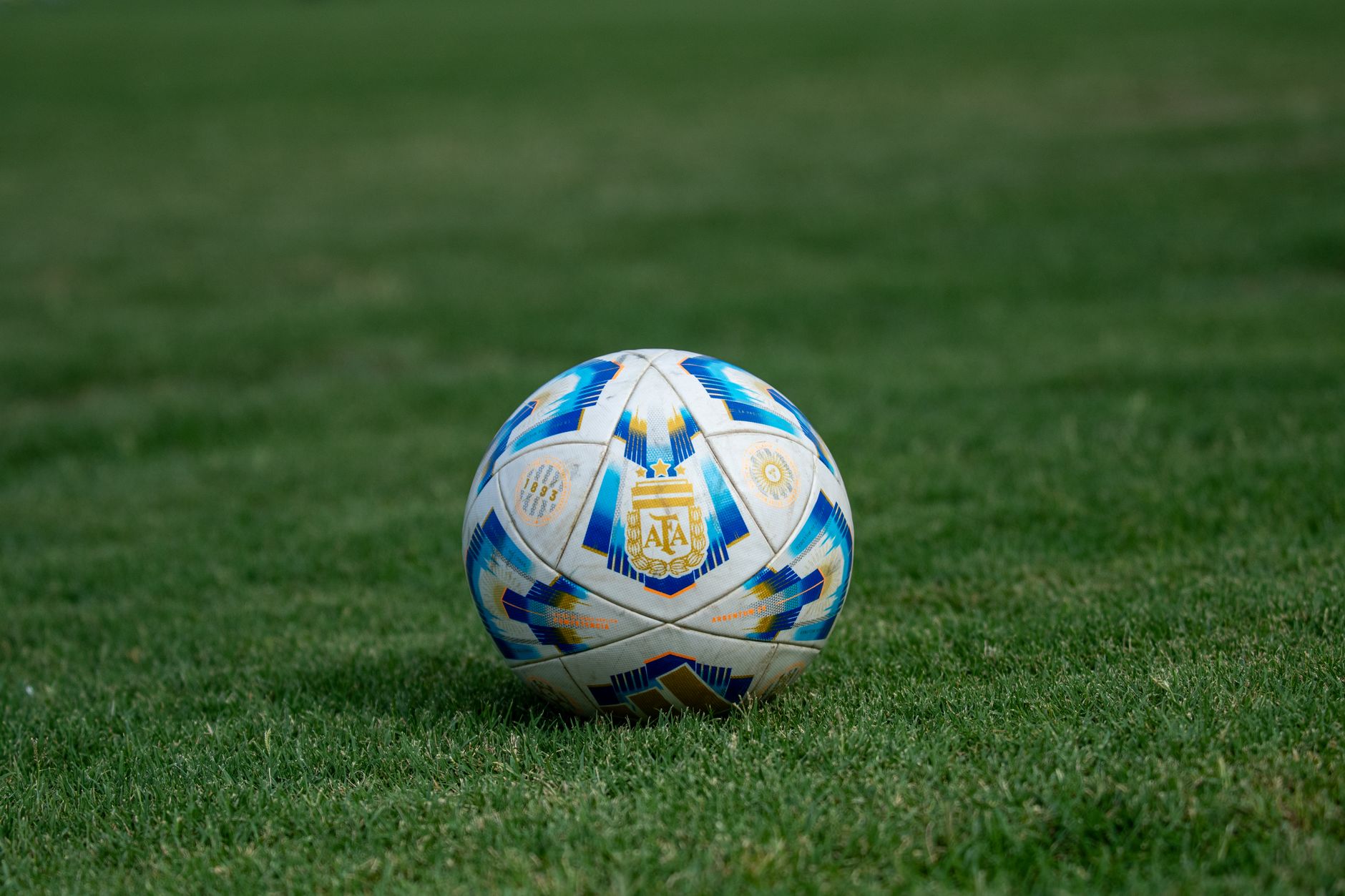 A soccer ball on the playing field.
