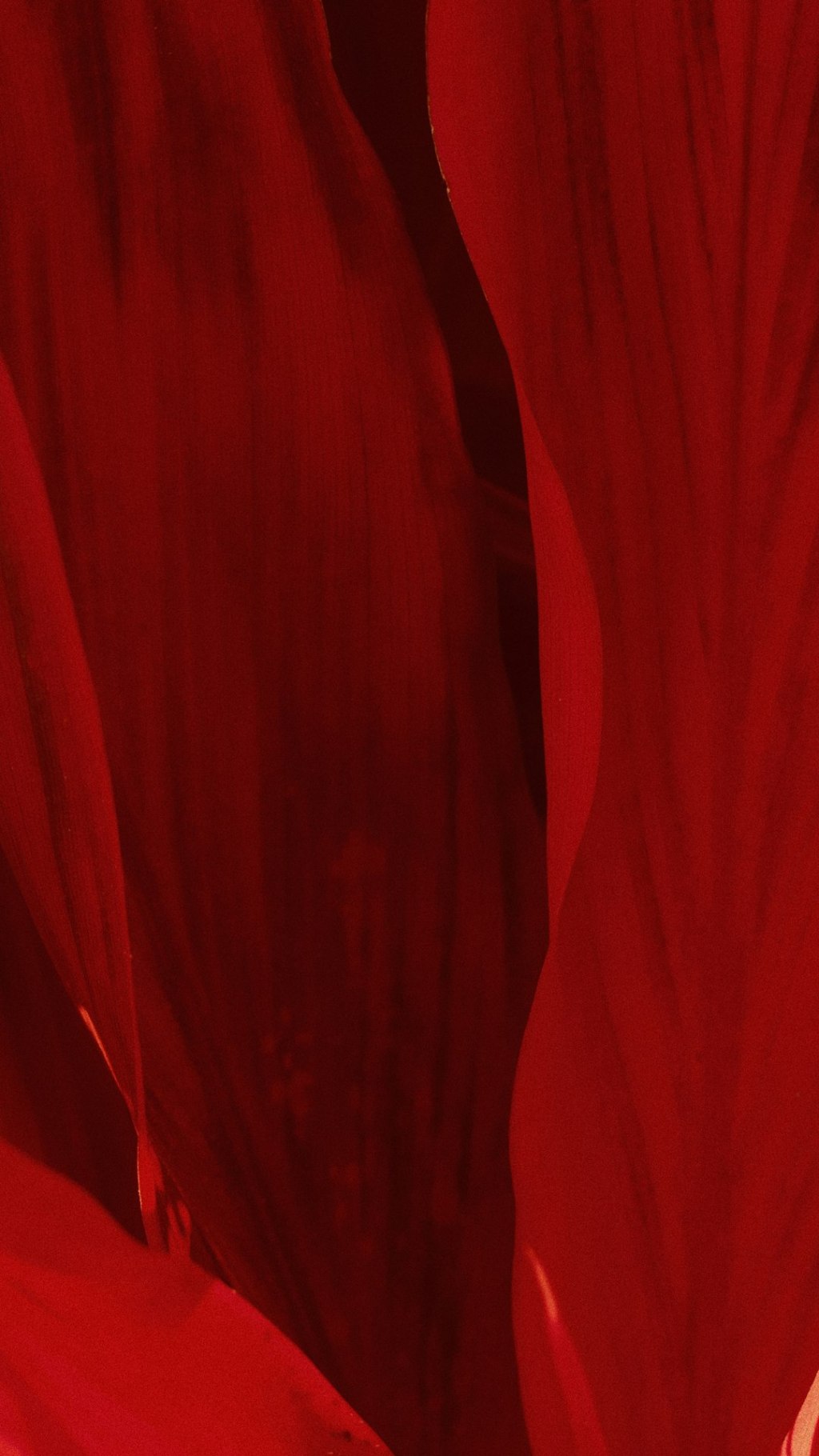 A close-up of red fabric.